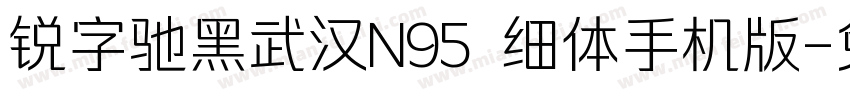 锐字驰黑武汉N95 细体手机版字体转换